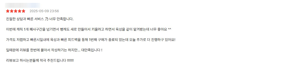 고객 B 후기